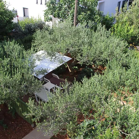 Guest house & Tea Zadar